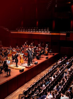 Sinfonik Hautnah