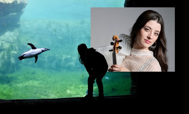 Pinguine unter Wasser im Zoo Frankfurt, Maria Dueñas